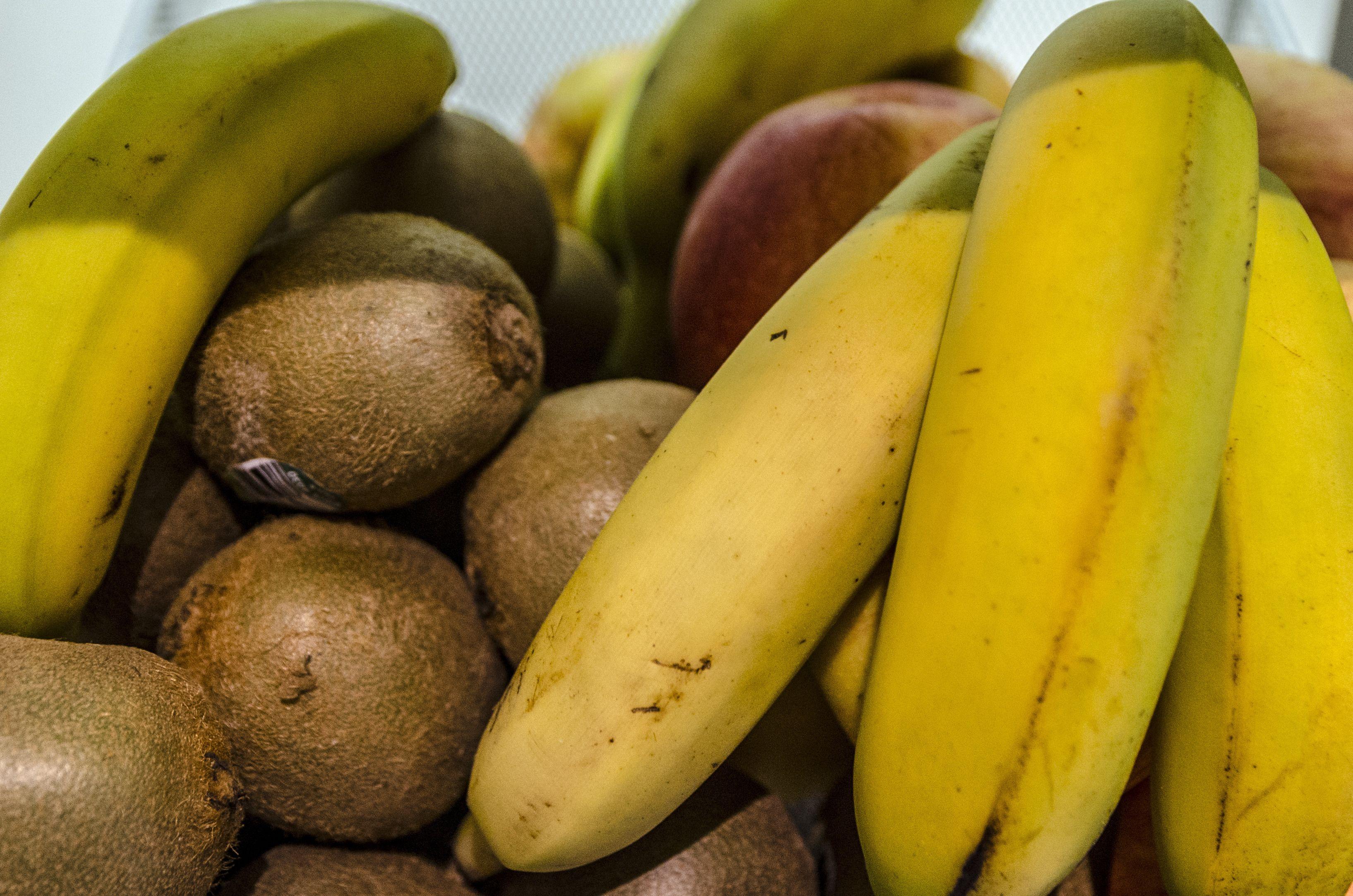 Contact Alize Montmartre Paris